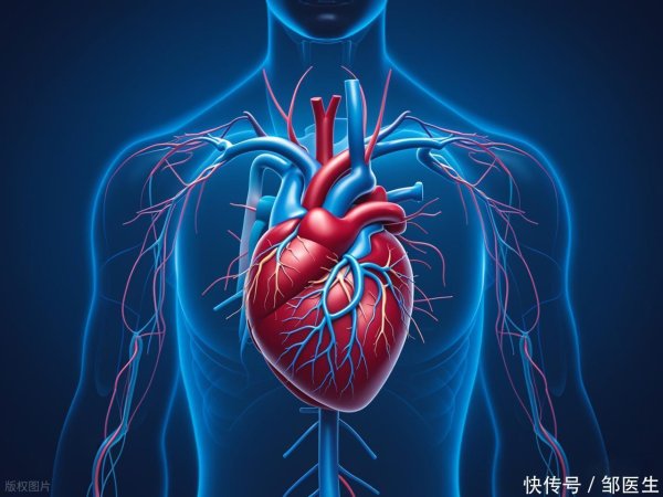 炒股配资指数平台 很多病都和慢性炎症有关！这几种“抗炎食物”千万要吃对了！