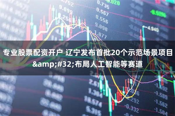 专业股票配资开户 辽宁发布首批20个示范场景项目 布局人工智能等赛道